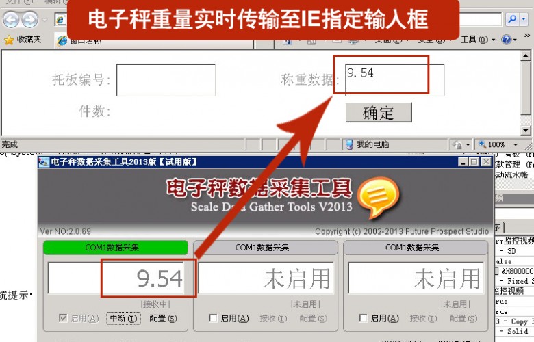 称重重量数据实时写入指定的IE输入框